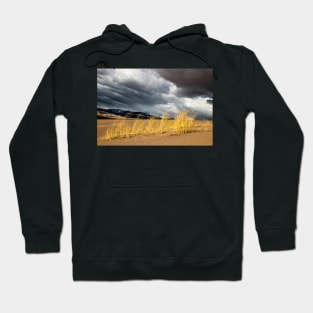 Great Sand Dunes Hoodie